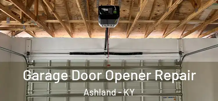  Garage Door Opener Repair Ashland - KY