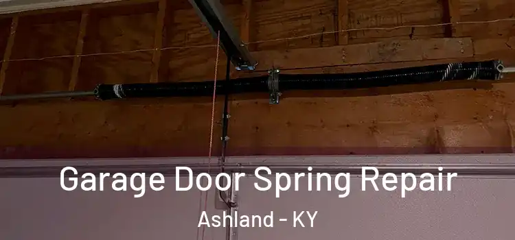  Garage Door Spring Repair Ashland - KY